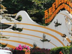 -西双版纳原始森林公园