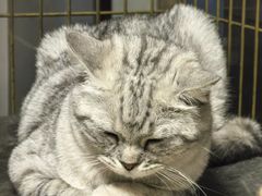 -聚首堂·特色小吃·肘子·炙子烤肉烤串(什刹海德胜门店)