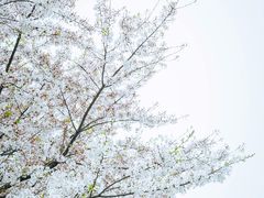 -龙美术馆(西岸馆)