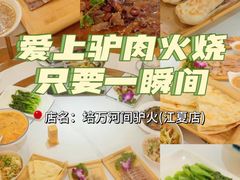 -培万河间驴火•驴肉火锅(东平店)