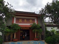 -九溪蒋记菌子宴