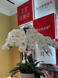 -Yestar艺星医疗美容医院