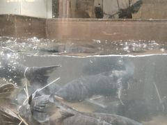 -上名堂·鱼头好吃(体育场路店)