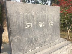 -习家池