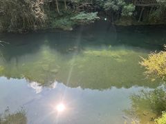 -石台牯牛降景区