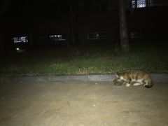 -山东大学(千佛山校区)