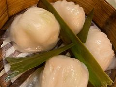 招牌虾饺妹-虾饺妹·酒家(金碧店)