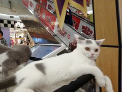 -凯德广场(学府店)