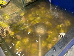 -遇上西雅图多融合海鲜自助餐厅(中房金谊广场店)