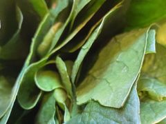 -南门四季铜锅涮肉(大屯·北苑店)