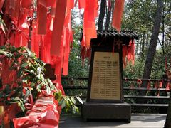 -梦姑塘文化公园