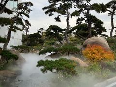 -罗红摄影艺术馆