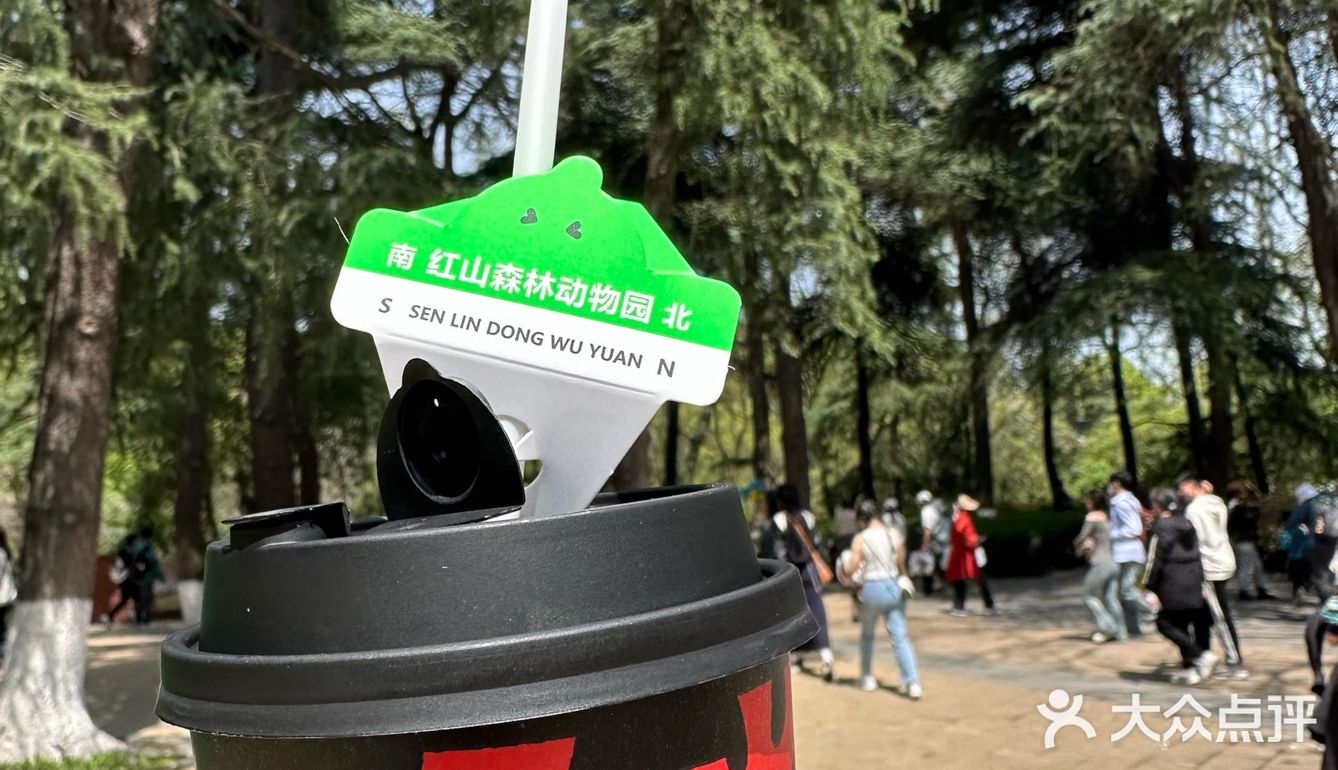 南京的！柠檬茶是永远的神！