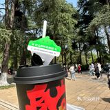 南京的！柠檬茶是永远的神！