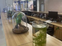 -红星美凯龙(上海沪南店)
