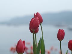 -湖畔居茶楼(湖滨店)