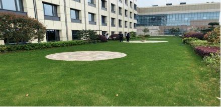 -曼格纳婚礼艺术中心(张江店)