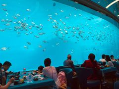 -瑞德姆美人鱼海底演艺主题餐厅(亚龙湾店)