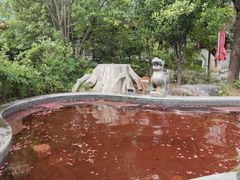 -太白山御龙湾温泉