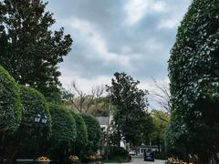 -棕榈岛海鲜自助餐厅(虹桥迎宾馆店)