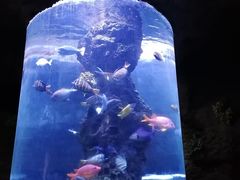-南昌海洋公园