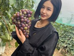 -开心庄园