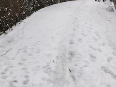 -武陵山森林公园