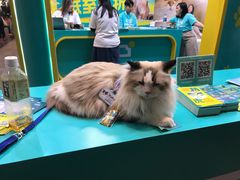 -香港会议展览中心演讲厅