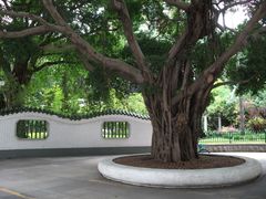 -晓港公园