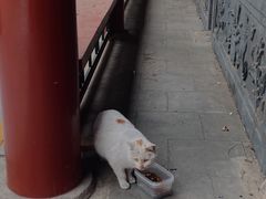 -宣武艺园