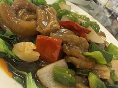 菜心牛蹄筋-清真双宝红油牛系列