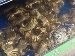 -阳澄湖大闸蟹·琼灵阁牌品牌连锁(吴中总店)