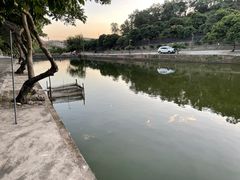 -满記土窑烧鷄波浪山莊