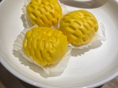 -寨子里的钵钵菜-湘西山里菜(火车站店)