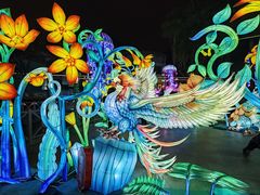 -海合安武汉极地海洋公园