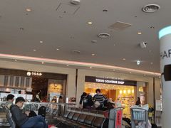 -TIAT DUTY FREE SHOP NORTH(羽田机场店)