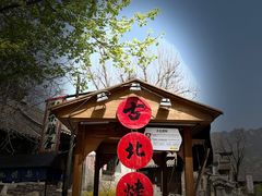 -古北烤梨