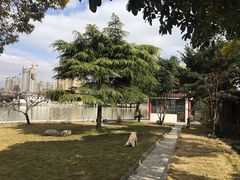 CT基地一角-申普宠物医院·心脏介入·心血管微创(总院)