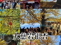 -大慈岩风景区