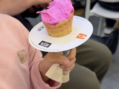 -野人先生Gelato(上海长宁龙之梦店)