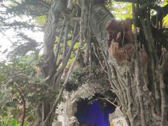 -龙达温泉生态城