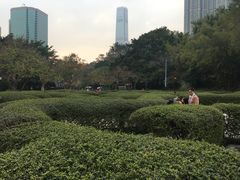 -九龙公园