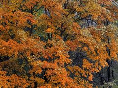 -玉渡山自然风景区