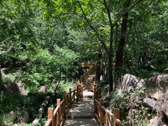 -大岭沟猕猴桃谷风景区