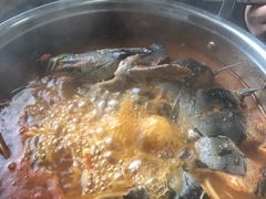 -弘烨 贵州酸汤 鱼火锅(东财店)