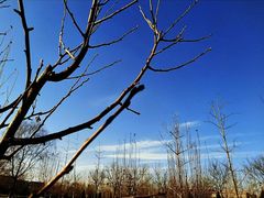 -首都师范大学(良乡校区)