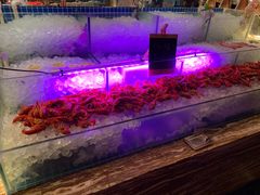 水产区-AdD全日制餐厅(中谷花园酒店)