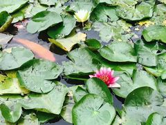 -泰安地下龙宫景区