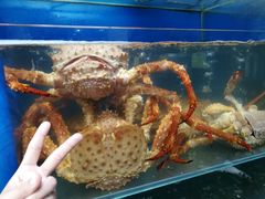 -蚝专家(北滘店)