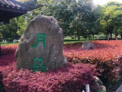 景点-月湖公园